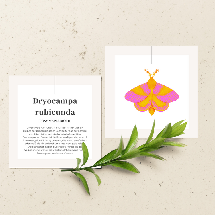 Handgestickte Rosy Maple Moth Brosche in Gelb und Rosa mit Perlen